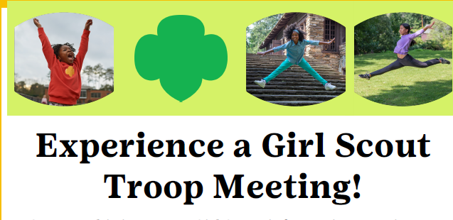 Girl Scout Troop Meeting